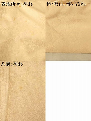 平和屋着物■訪問着　寿光織　扇子草花文　金糸　正絹　逸品　AABI5977fw