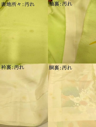 平和屋着物■訪問着　草花文　暈し染め　金彩　正絹　逸品　AABI5988fw