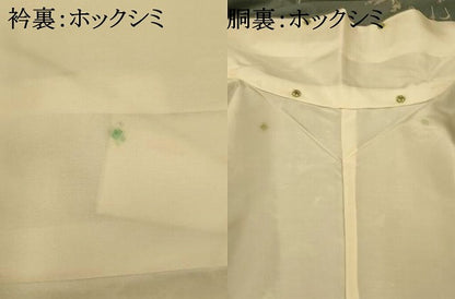 平和屋着物■上質な小紋　紬地　草花文　正絹　逸品　AABI5991fw