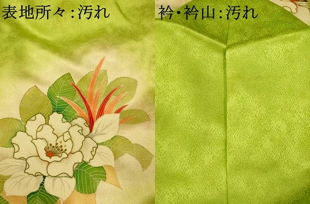 平和屋着物■訪問着　草花文　暈し染め　金彩　正絹　逸品　AABI5993fw