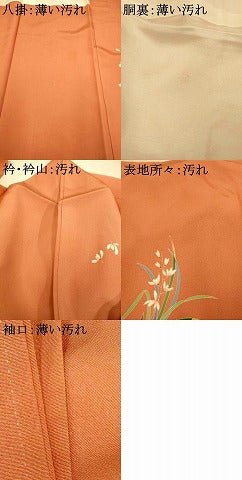 平和屋着物■訪問着　友禅　作家物　草花文　暈し染め　正絹　逸品　AABI6005fw