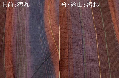 平和屋着物■上質な紬　間道　正絹　逸品　AABI6039fw