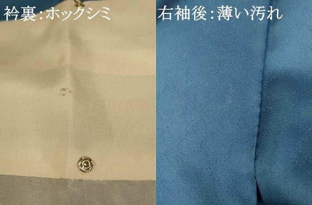 平和屋着物■訪問着　手描き　扇子花車文　正絹　逸品　未使用　AABI6041fw