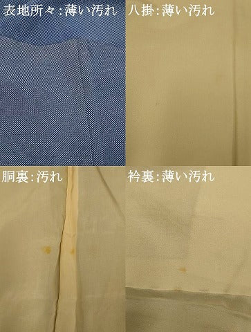 平和屋着物■江戸小紋　行儀　青藍色　正絹　逸品　AABI6054fw