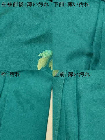 平和屋着物■訪問着　枝花文　暈し染め　金銀彩　ロング丈　正絹　逸品　AABI6058fw