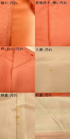 平和屋着物■上質な小紋　霞文　暈し染め　正絹　逸品　AABI6067fw