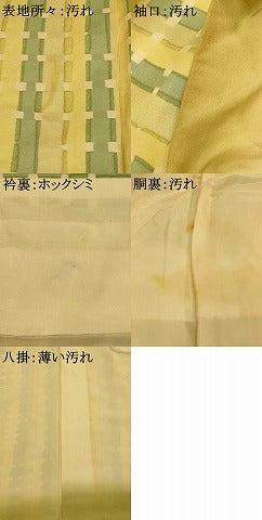 平和屋着物■上質な小紋　間道　鬼しぼ縮緬　正絹　逸品　AABI6069fw