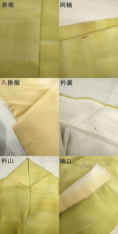 平和屋着物●虹色創家　本郷大田子　小紋　霞文　暈し染め　正絹　逸品　AABI6088cs