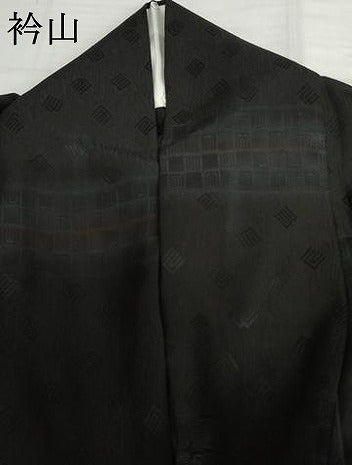 平和屋着物▽訪問着　単衣　粋人舎　源氏香横段文　暈し染め　黒地　反端付き　正絹　逸品　AABI6172cs