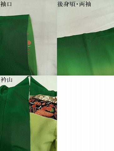 平和屋着物●豪華振袖　几帳花唐草文　暈し染め　金銀彩　正絹　逸品　AABI6291ph
