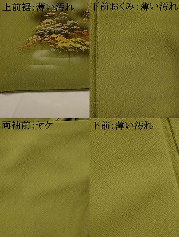 平和屋着物■豪華色留袖　風景文　金銀彩　正絹　逸品　AABI6382st