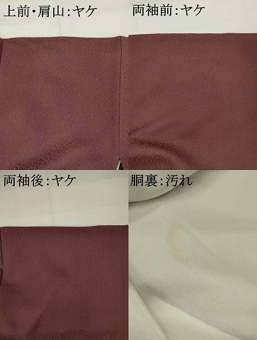平和屋着物■伝統工芸師 服部光擴 江戸小紋 鮫小紋柄 正絹 逸品 AABI6392st