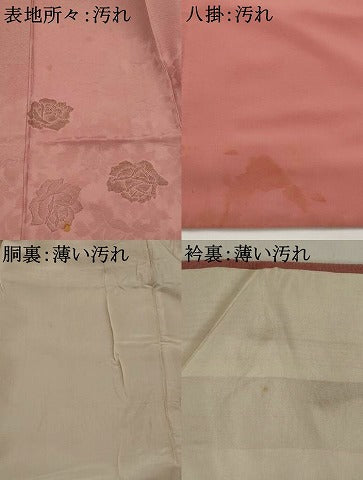 平和屋着物■豪華色留袖　寿光織　舞花文　金糸　正絹　逸品　AABI6413st