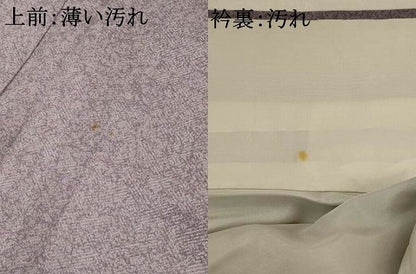 平和屋着物■訪問着　草花文　暈し染め　金彩　正絹　逸品　AABI6463st