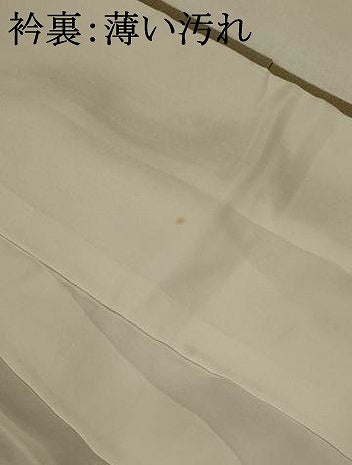 平和屋着物■訪問着　友禅　笠松文　暈し染め　金彩　正絹　逸品　AABI6471st
