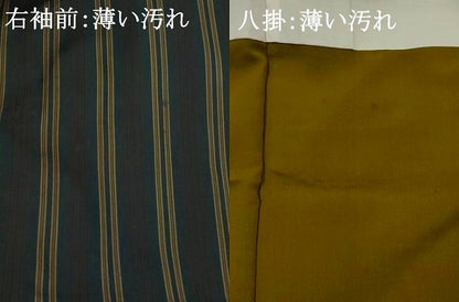 平和屋着物■上質な紬　縞　正絹　逸品　AABI6487st