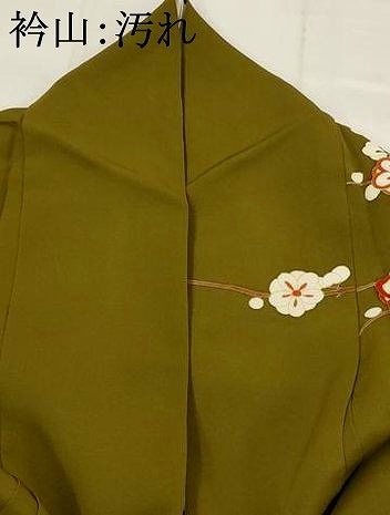 平和屋着物■訪問着 草花文 暈し染め 金彩 正絹 逸品 AABI6491st