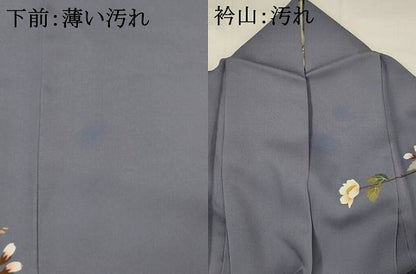 平和屋着物■訪問着 草花文 暈し染め 金銀彩 正絹 逸品 AABI6512st
