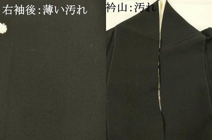 平和屋着物■豪華黒留袖　作家物　花蝶文　正絹　逸品　AABI6521st