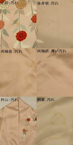 平和屋着物■訪問着　駒刺繍　枝花文　暈し染め　正絹　逸品　AABI6544st