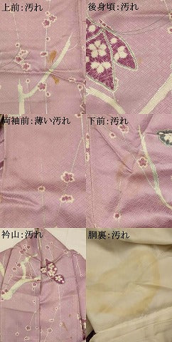 平和屋着物■上質な小紋 花蝶文 銀彩 正絹 逸品 AABI6546st
