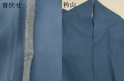 平和屋着物＊夏物　訪問着　絽　手描き　草花文　金魚　正絹　逸品　AABI6585jd