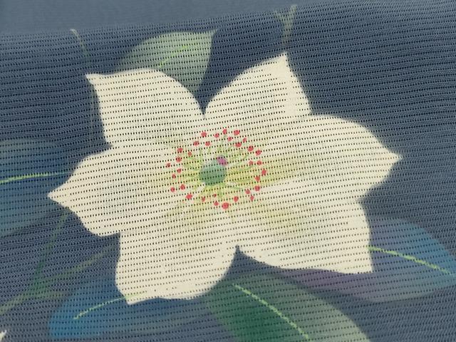 平和屋着物＊夏物　訪問着　絽　手描き　草花文　金魚　正絹　逸品　AABI6585jd