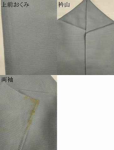 平和屋着物＊夏物 訪問着 絽 刺繍 萩 暈し染め 金彩 正絹 逸品 AABI6601jd