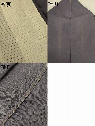 平和屋着物＊夏物　訪問着　紗　草花文　暈し染め　正絹　逸品　AABI6609jd