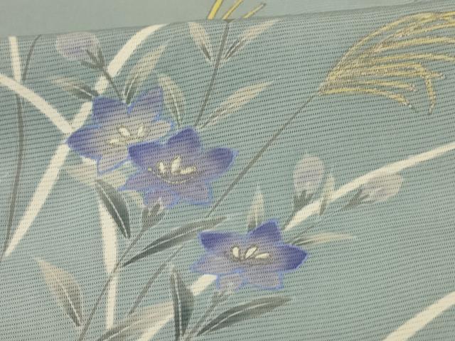 平和屋着物＊夏物　訪問着　絽　手描き　草花文　銀彩　正絹　逸品　AABI6610jd