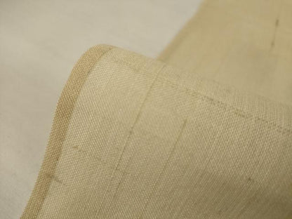 平和屋着物＊夏物 紗紬 枯色 正絹 逸品 AABI6612jd