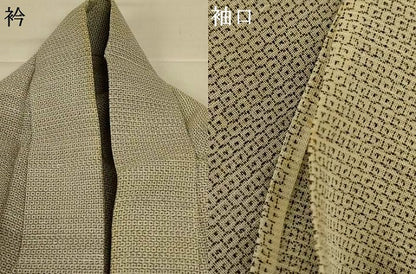 平和屋着物＊夏物 男性 本塩沢 夏塩沢 100亀甲 総詰め 正絹 逸品 AABI6615jd