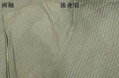 平和屋着物＊夏物 男性 訪問着 縦絽 蔦の葉文 暈し染め 金彩 キングサイズ 正絹 逸品 AABI6629jd