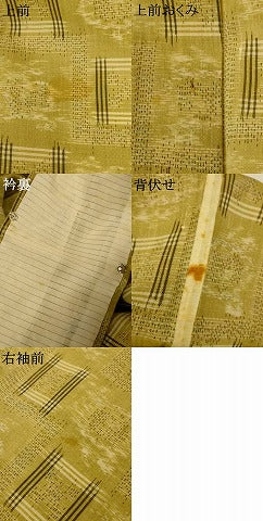 平和屋着物＊夏物　紗紬　絣柄　正絹　逸品　AABI6632jd