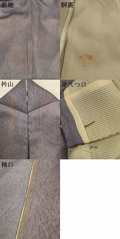 平和屋着物▽訪問着　無双　紗袷　紗×絽　草花文　暈し染め　正絹　逸品　AABI6644jd