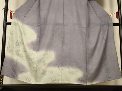 平和屋着物▽訪問着　無双　紗袷　紗×絽　草花文　暈し染め　正絹　逸品　AABI6644jd