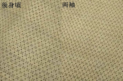 平和屋着物＊夏物 男性 上布 絣柄 麻 逸品 AABI6651jd