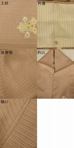 平和屋着物＊夏物　小紋　絽　舞花文　ロング丈　正絹　逸品　AABI6665jd