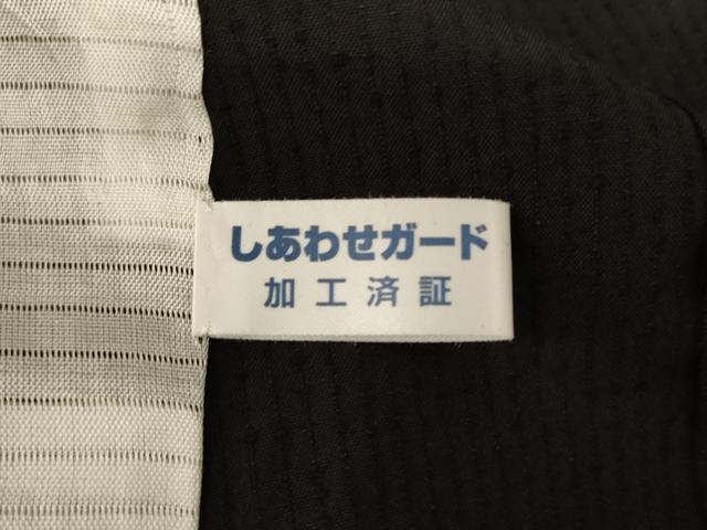 平和屋着物＊夏物 訪問着 紗 霞文 ロング丈 正絹 逸品 AABI6674jd