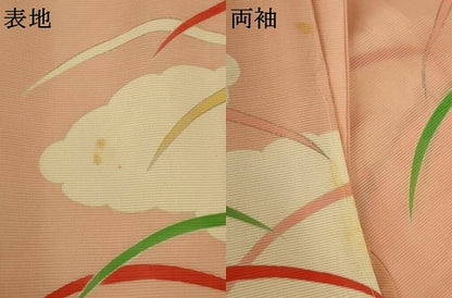 平和屋着物＊夏物　訪問着　絽　雲取り芝文　銀彩　大丸扱い　正絹　逸品　AABI6677jd