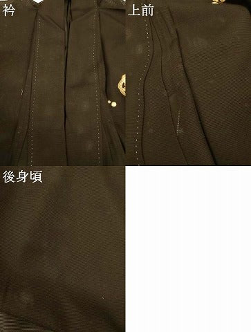 平和屋着物＊夏物　男性　訪問着　絽　立波丸文　金彩　キングサイズ　正絹　逸品　AABI6682jd
