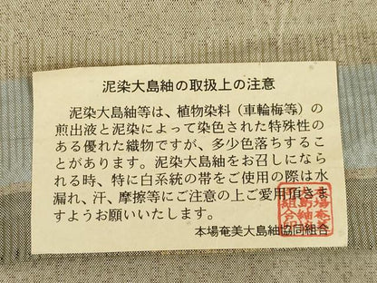 平和屋着物●本場大島紬　作家物　積良一　手織り　本草木泥染　清染色工芸　証紙付き　正絹　逸品　AABI6841ck
