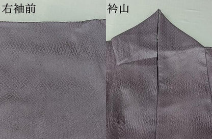 平和屋着物▽訪問着　単衣　刺繍　草花文　暈し染め　金糸　金彩　正絹　逸品　AABI7057jh