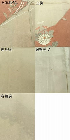 平和屋着物▽訪問着　単衣　草花文　金彩　正絹　逸品　AABI7070jh