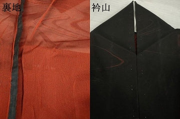 平和屋着物＊夏物　小紋　風通紗　流水文　黒地　正絹　逸品　AABI7102ck