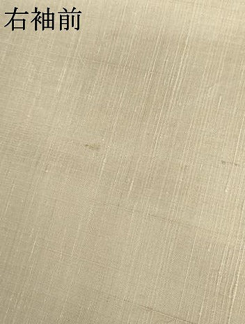 平和屋着物▽上質な紬　単衣　風景絵皿文　正絹　逸品　AABI7201cs