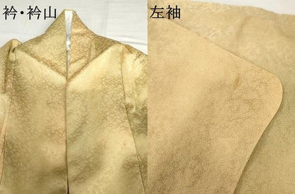 平和屋着物▽訪問着　単衣　手描き　刺繍　枝花文　暈し染め　正絹　逸品　AABI7205cs
