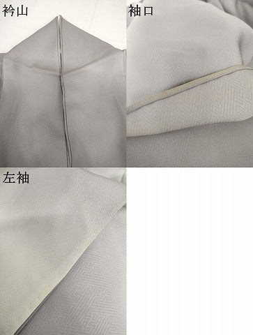 平和屋着物▽訪問着　単衣　友禅　花鳥風景文　暈し染め　金彩　正絹　逸品　AABI7218cs