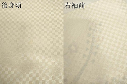 平和屋着物▽訪問着　単衣　手描き　花鳥文　金通し地　正絹　逸品　AABI7227cs