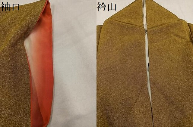 平和屋着物●重要無形文化財　人間国宝　中村勇二郎　江戸小紋　国宝平等院雲中供養菩薩像五十二　正絹　逸品　AABI7335ph